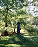 Morris Arboretum 1988